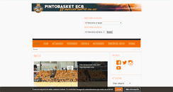 Desktop Screenshot of pintobasket.com